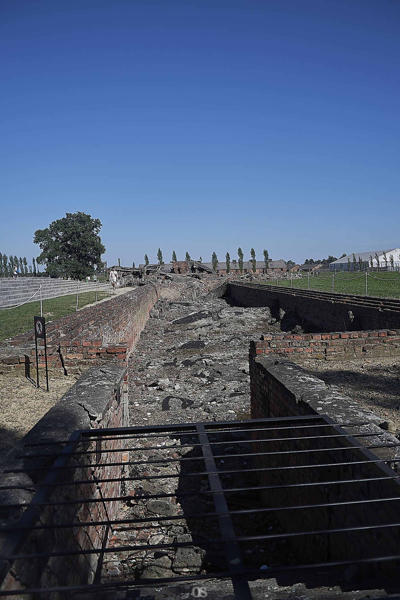 Auschwitz 81.jpg